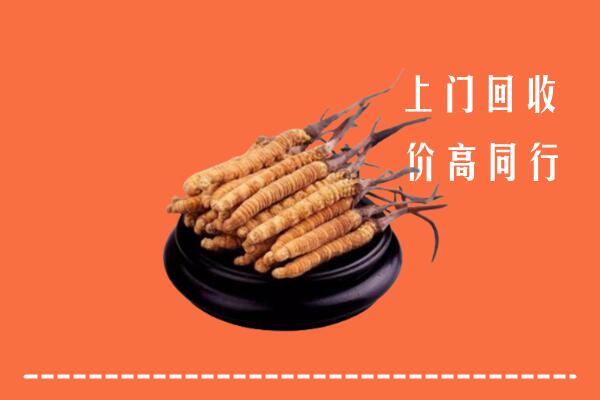 高价求购：聊城市莘市回收散虫草