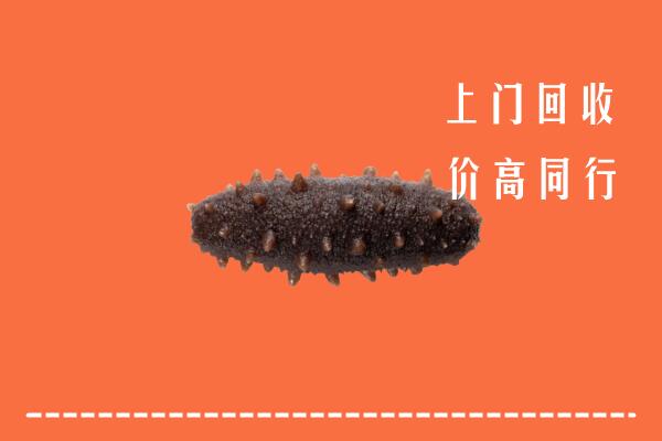 高价求购：聊城市莘市回收海参