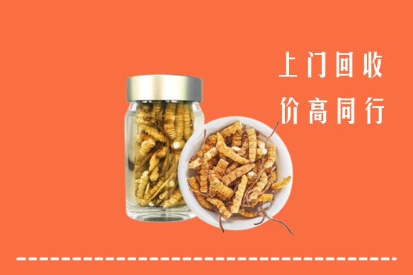 聊城市莘市回收冬虫夏草