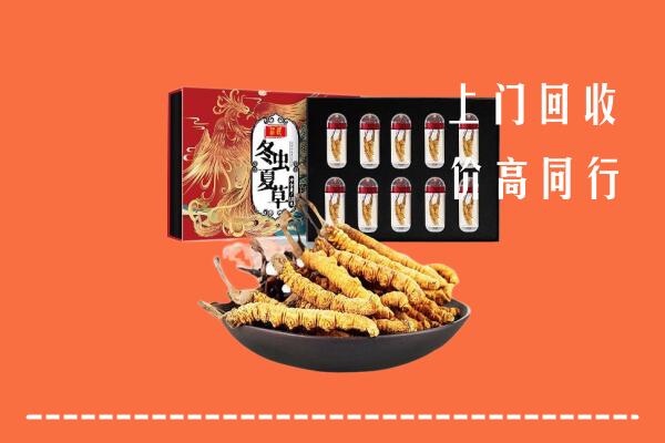 聊城市莘市回收虫草